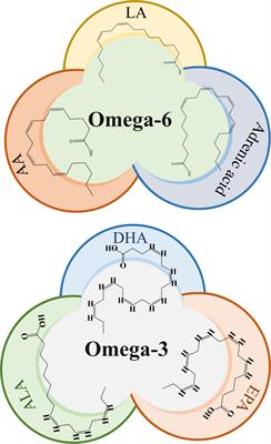Omega-3 and omega-6 polyunsaturated fatty acids and their potential therapeutic role in protozoan infections